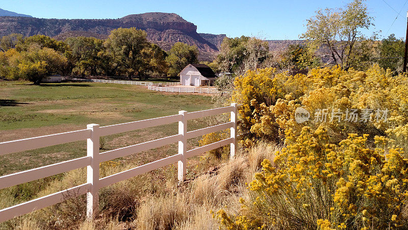犹他州洛克维尔的Wire和Grafton Mesas农场的白色栅栏和秋天的花